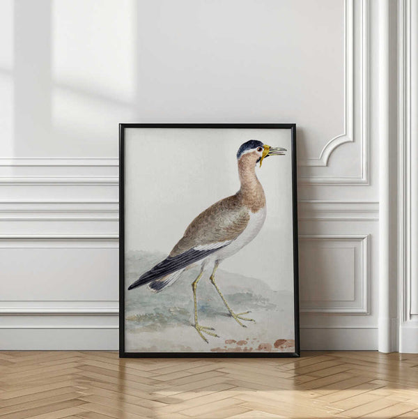 Tablou înramat „A Yellow Wattled Lapwing” de Aert Schouman