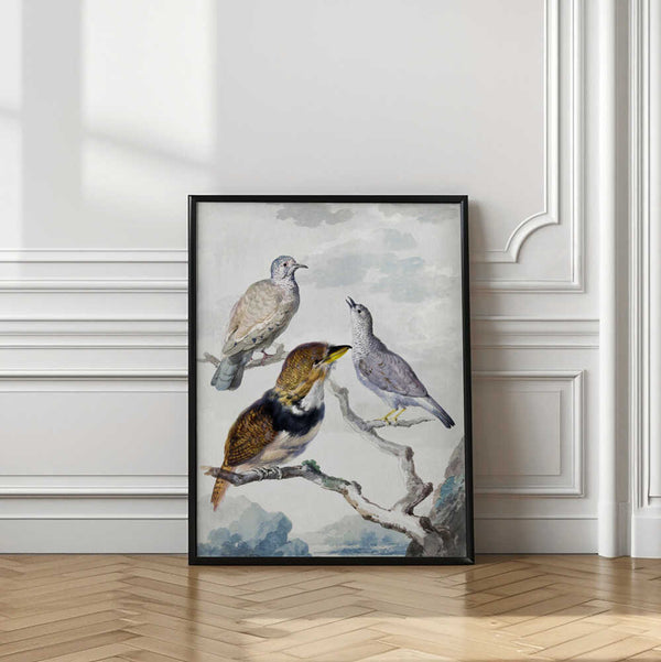 Tablou înramat „Three Birds, Two Inca Pigeons and a Collared Bearded Cuckoo” de Aert Schouman