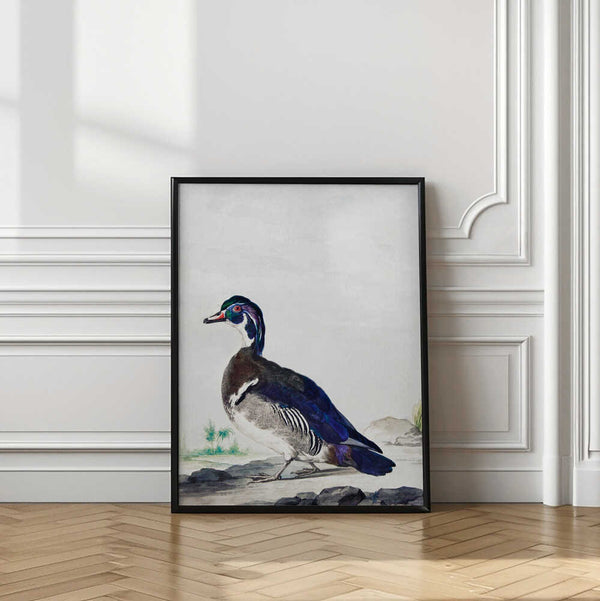 Tablou înramat „A Duck” de Aert Schouman