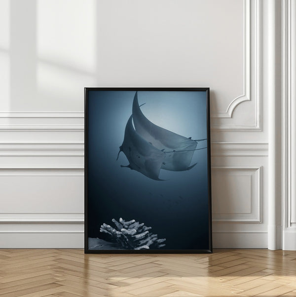 Tablou înramat „Sonata” de Andrey Narchuk