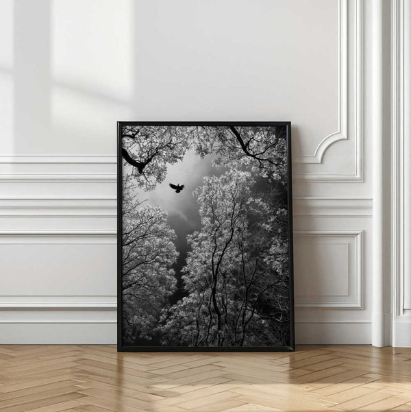 Tablou înramat „Flight” de Goran Stamenkovic