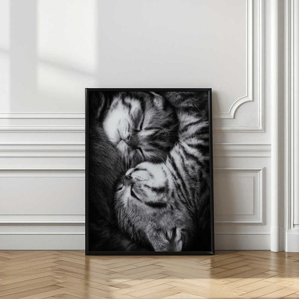 Tablou înramat „Yin and Yang” de Andrea Jancova