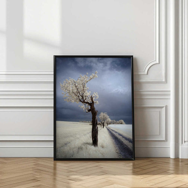 Tablou înramat „IRenka” de Piotr Krol (Bax)