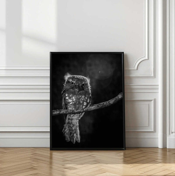 Tablou înramat „Alone in the night” de wilianto