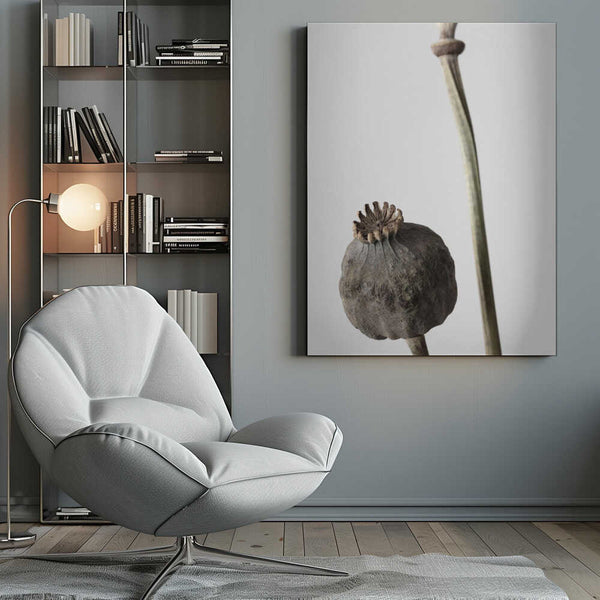 Tablou canvas „Dried_005” de Pictufy Studio III