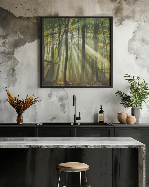 Tablou înramat „Sunny start to the day ........” de Piet Haaksma