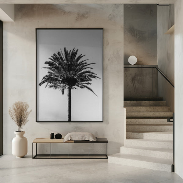 Tablou înramat „Palm_003” de Pictufy Studio III