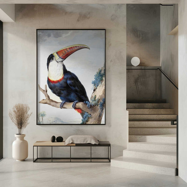 Tablou înramat „Red Billed Toucan” de Aert Schouman