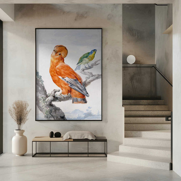 Tablou înramat „Two Exotic Birds” de Aert Schouman