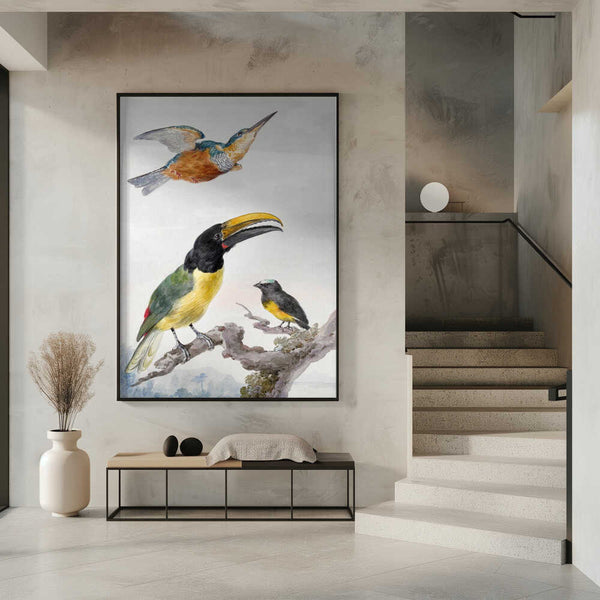 Tablou înramat „Three Birds a Kingfisher, a Prince Von Wied's Toucan and an Sparrow” de Aert Schouman