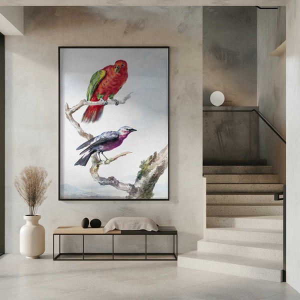 Tablou înramat „Two Birds, Including a Red Green Parrot” de Aert Schouman