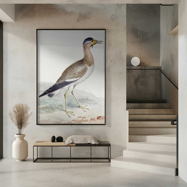 Tablou înramat „A Yellow Wattled Lapwing” de Aert Schouman