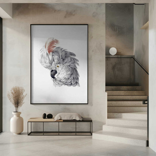 Tablou înramat „Cockatoo Head” de Aert Schouman