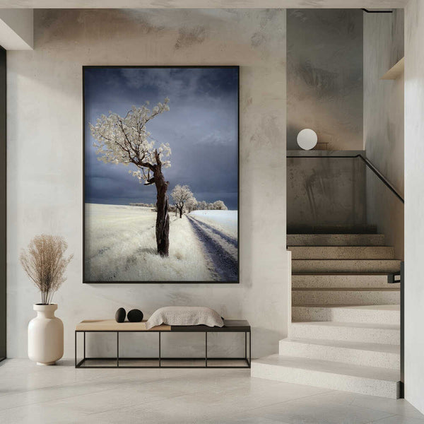 Tablou înramat „IRenka” de Piotr Krol (Bax)