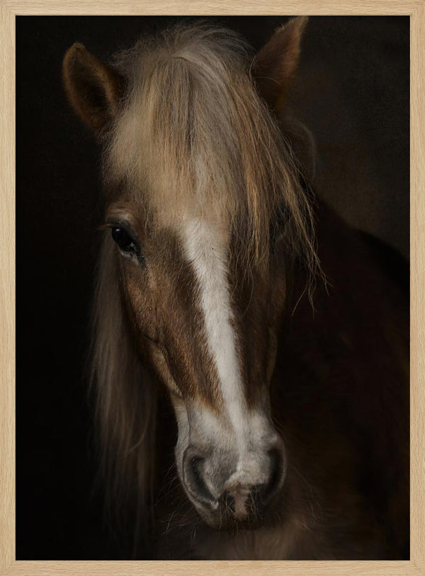 Tablou înramat „Sapience” de Martine Benezech