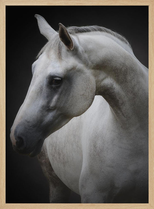 Tablou înramat „Maggie” de Avishai Avivi