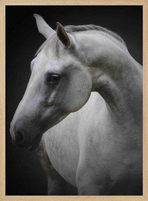 Tablou înramat „Maggie” de Avishai Avivi