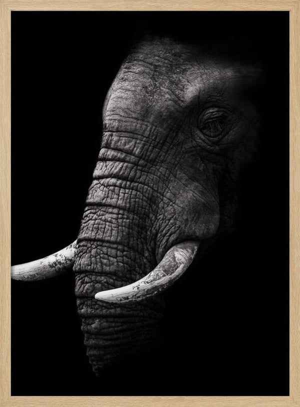 Tablou înramat „Portrait” de WildPhotoArt