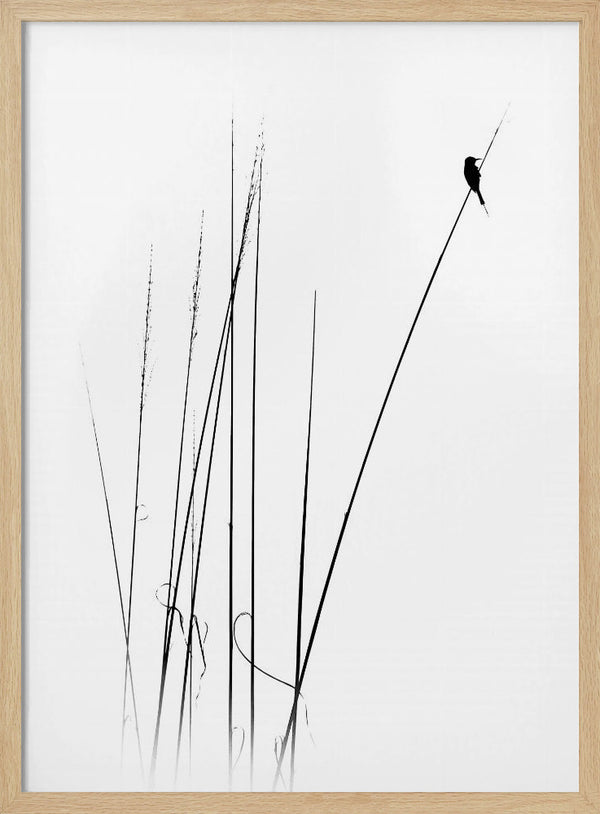 Tablou înramat „a sabbatical” de Swapniel s deshpnde