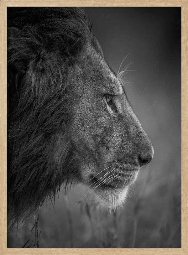 Tablou înramat „Thinking Under The Rain” de Faisal ALnomas