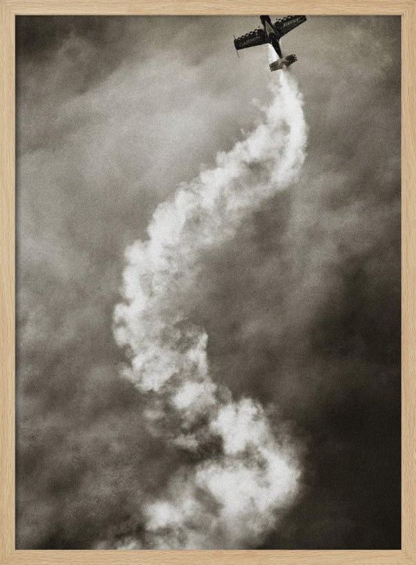 Tablou înramat „Aviation DNA” de Riekus Reinders