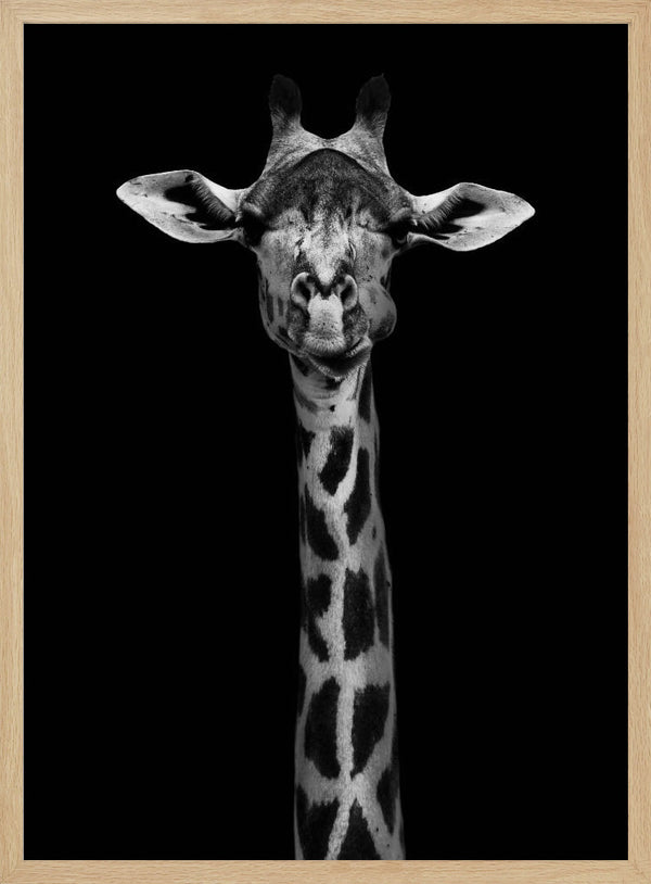 Tablou înramat „Giraffe Portrait” de WildPhotoArt