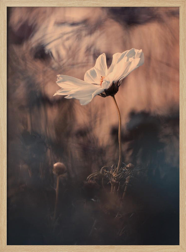 Tablou înramat „The Bride” de Fabien BRAVIN