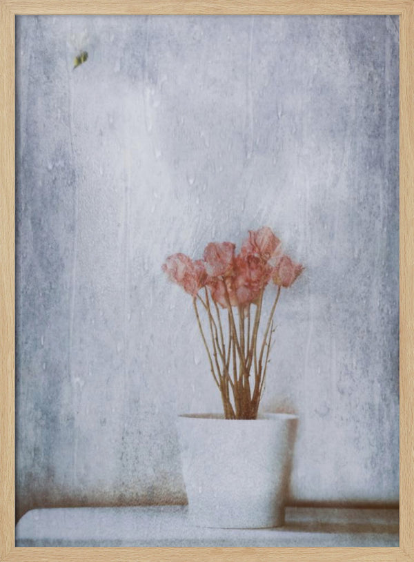 Tablou înramat „When Summer's Gone...” de Delphine Devos