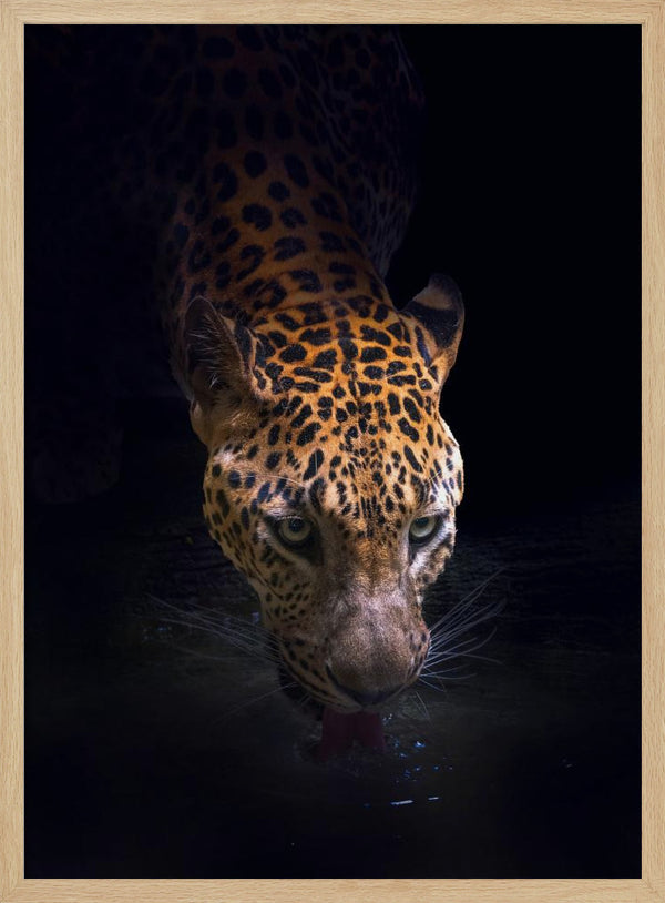 Tablou înramat „Drinking” de Antonyus Bunjamin (Abe)