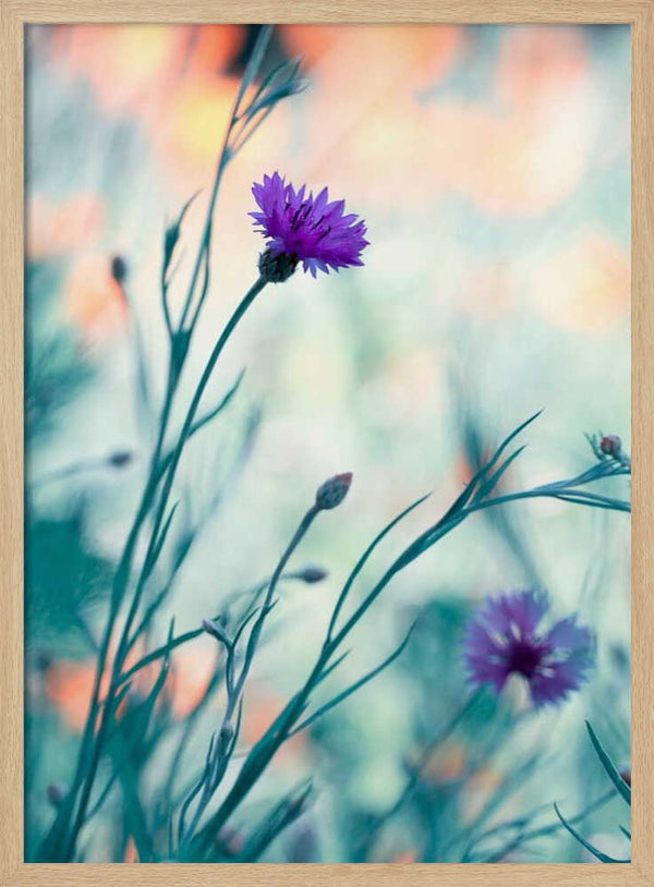 Tablou înramat „Colors game 2” de Fabien BRAVIN