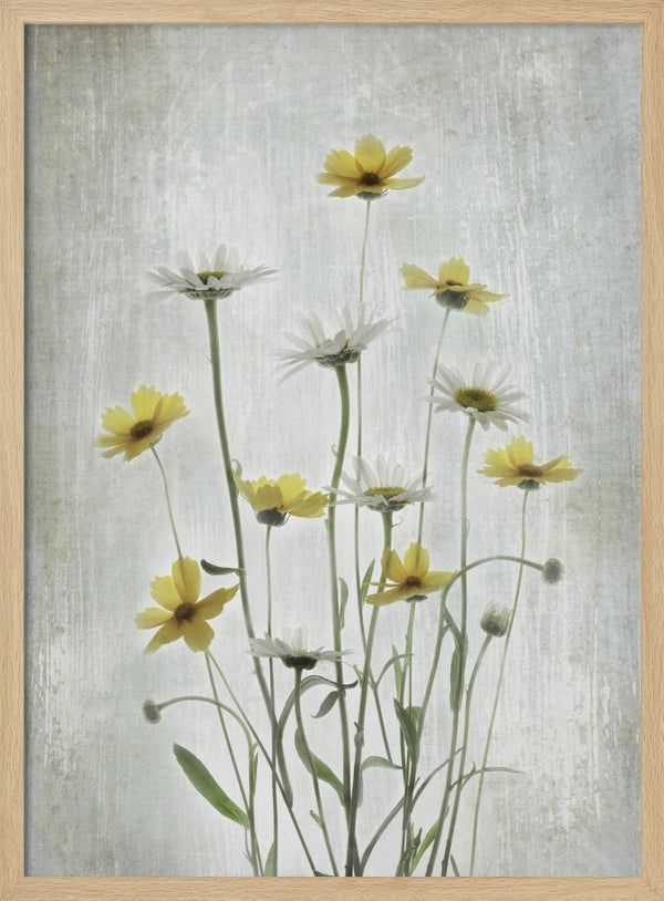 Tablou înramat „Summer Flowers” de Binbin L.