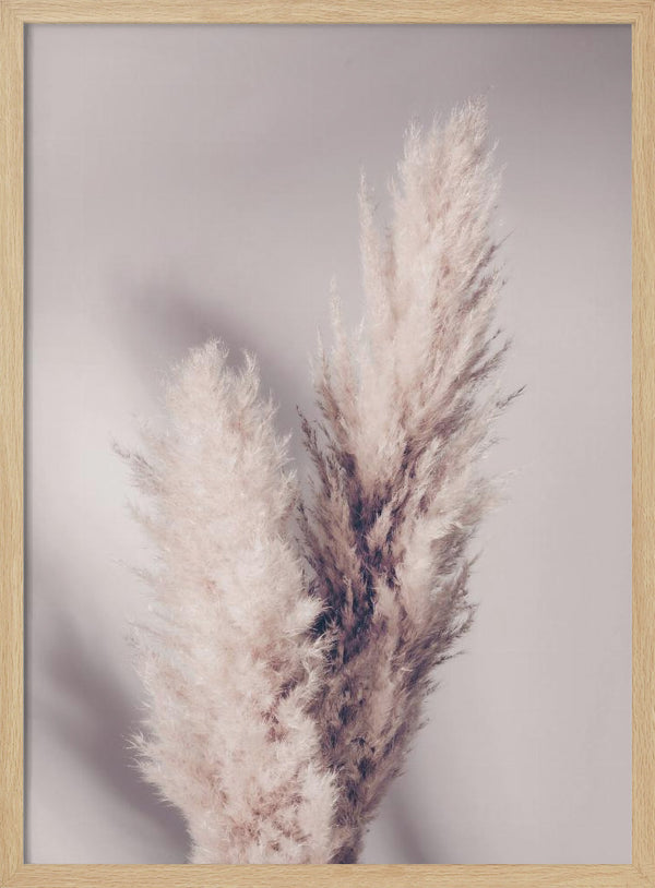 Tablou înramat „Pampas Grass” de Pictufy Studio III