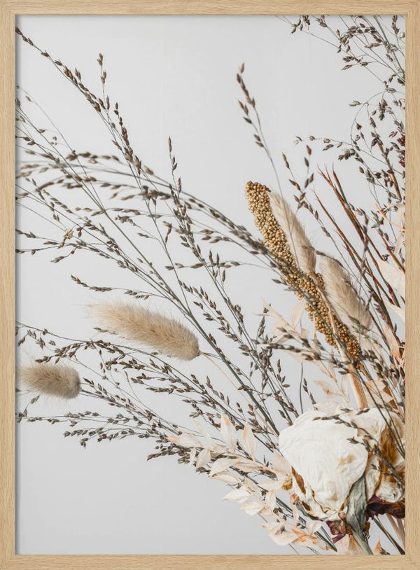 Tablou înramat „Dried_008” de Pictufy Studio III