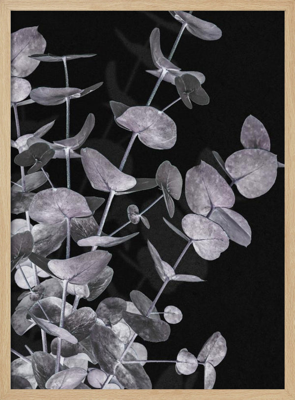 Tablou înramat „Eucalyptus_Negative_003” de Pictufy Studio III