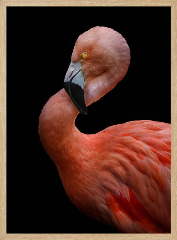 Tablou înramat „Untitled” de Hardik Pandya