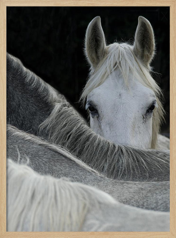 Tablou înramat „Look” de Milan Malovrh