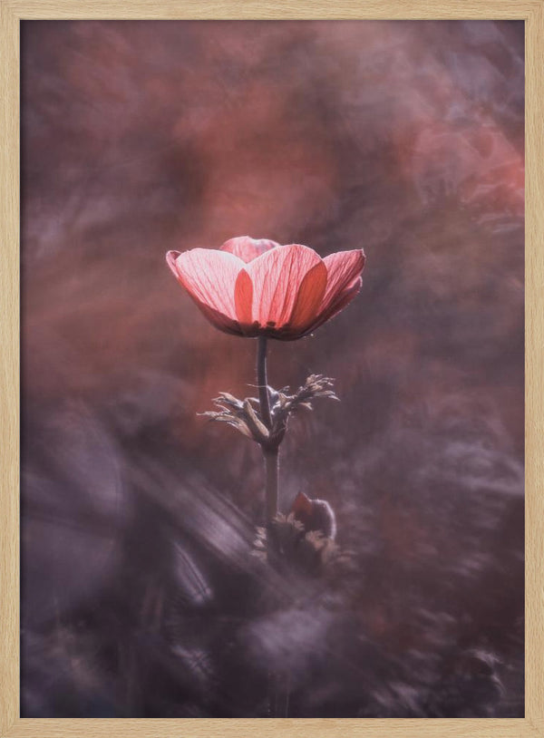 Tablou înramat „Ardente” de Fabien BRAVIN