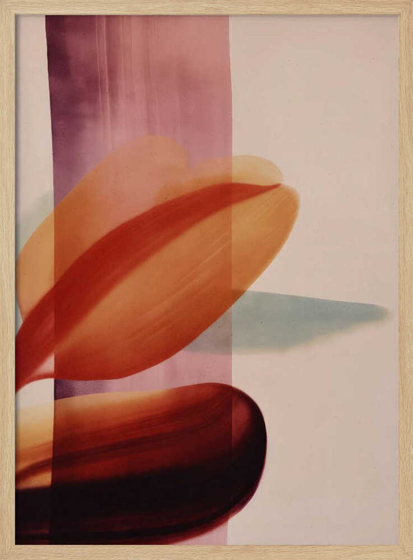 Tablou înramat „Flowing Petals” de Treechild