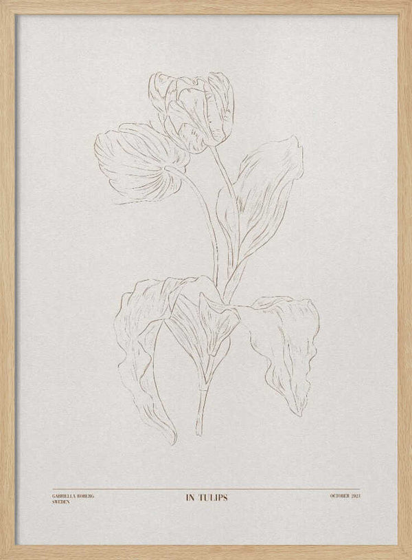 Tablou înramat „In Tulips (brown)” de Gabriella Roberg