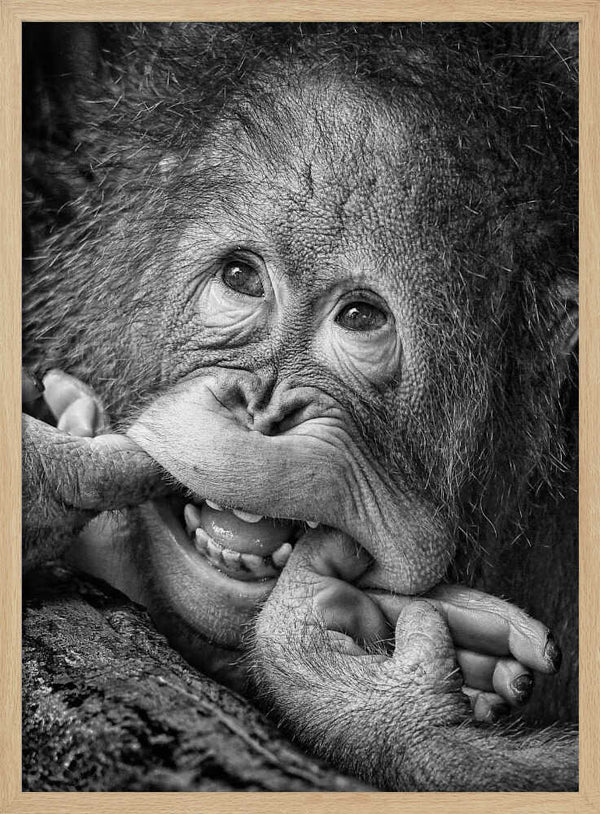 Tablou înramat „Big Smile.....please” de Angela Muliani Hartojo