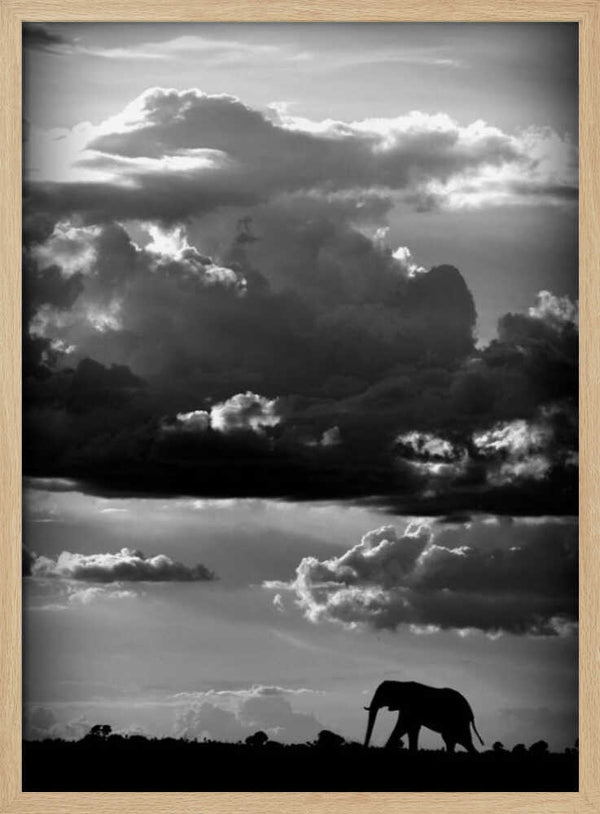 Tablou înramat „He walks under an African Sky” de WildPhotoArt