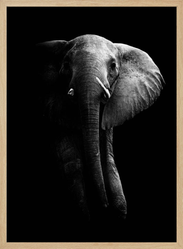 Tablou înramat „Elephant!” de WildPhotoArt
