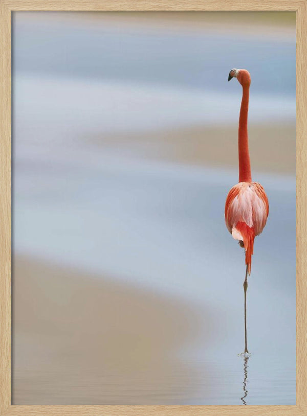 Tablou înramat „I” de Anna Cseresnjes