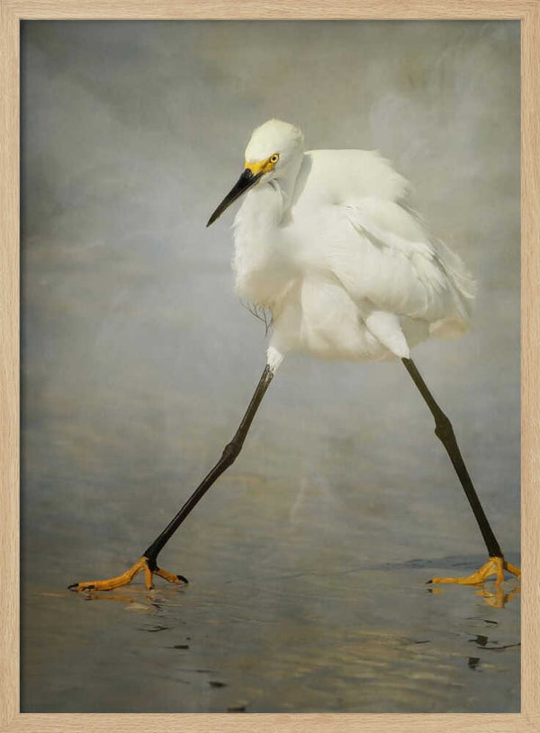 Tablou înramat „The Rock Star” de Alfred Forns