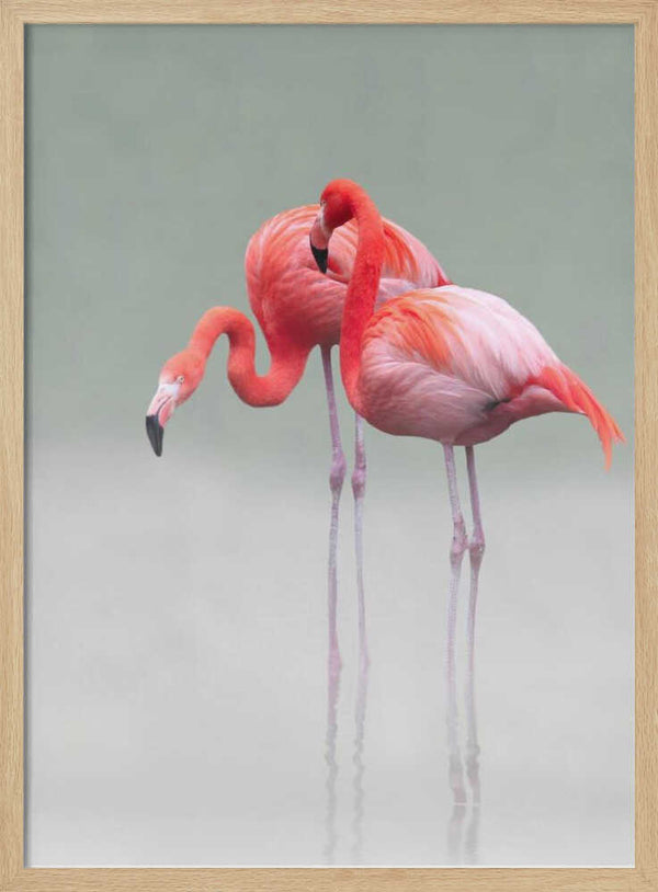 Tablou înramat „just we two ...” de Anna Cseresnjes