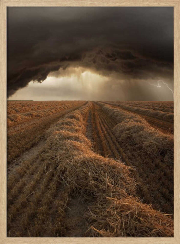 Tablou înramat „Untitled” de Nicolas Schumacher