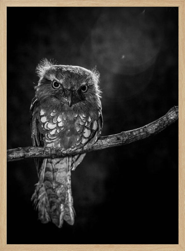 Tablou înramat „Alone in the night” de wilianto