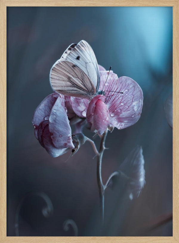 Tablou înramat „Tainted Love” de Fabien BRAVIN