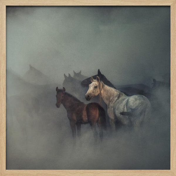 Tablou înramat „The lost horses” de Hüseyin Taşkın