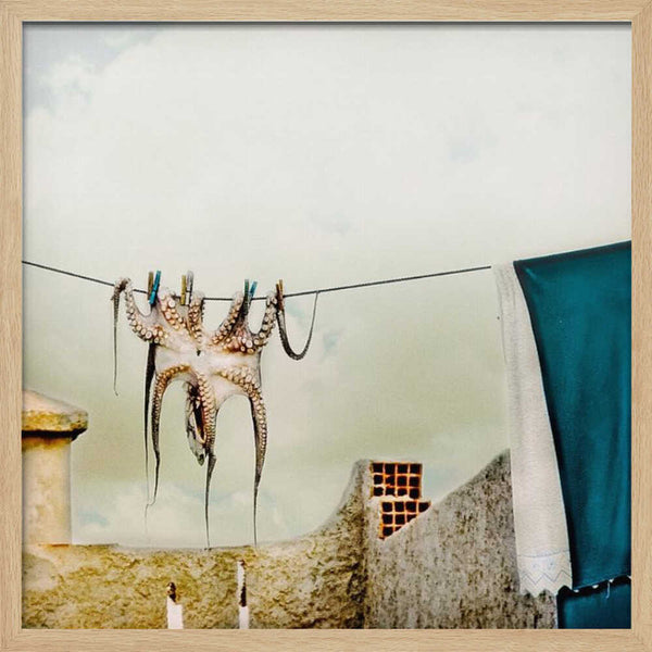 Tablou înramat „Tote Hose” de ambra